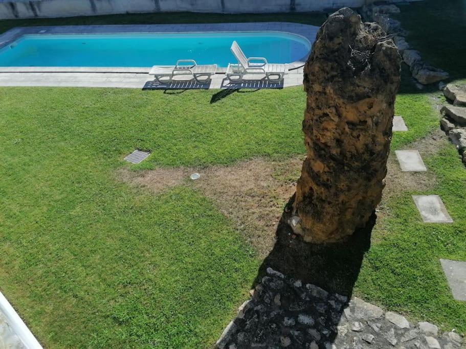 Amazing Lodge By The Ocean - Fully Equipped! Ericeira Exteriér fotografie